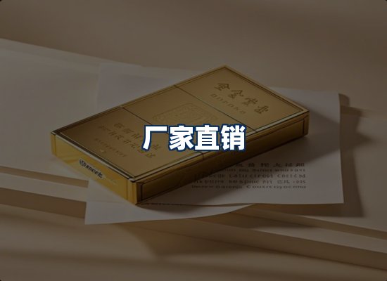 专业团队办公环境